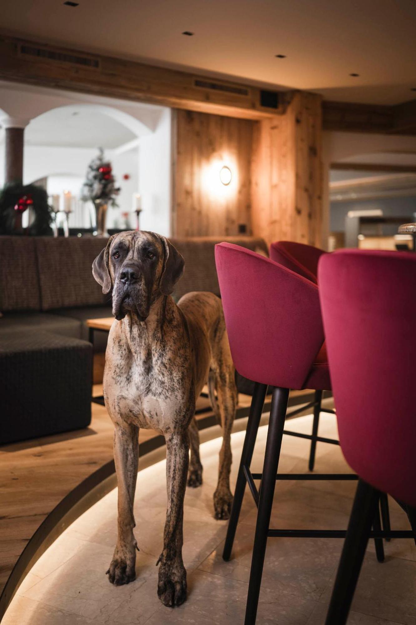 Alpenheim Charming & Spa Hotel Ορτιζέι Εξωτερικό φωτογραφία